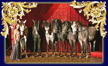 cirque-diana-moreno_horses.jpg (20925 bytes)